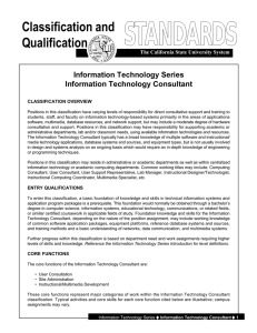Information Technology Consultant