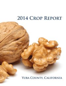 Yuba County Crop Report