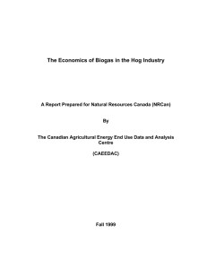 The Economics of Biogas in the Hog Industry