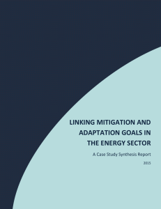 Linking Mitigation and Adaptation Goals in the Energy Sector
