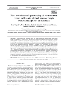 First isolation and genotyping of viruses from recent outbreaks of