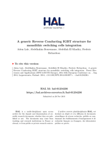 A generic Reverse Conducting IGBT structure for monolithic