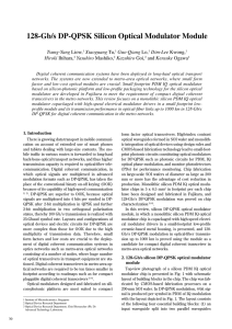 128-Gb/s DP-QPSK Silicon Optical Modulator Module