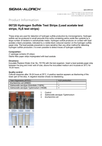 06728 Hydrogen Sulfide Test Strips (Lead acetate - Sigma