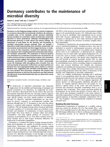 Dormancy contributes to the maintenance of microbial diversity