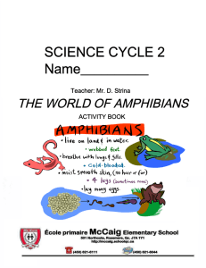 The World of AMPHIBIANS