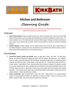 Kitchen and Bathroom Cleaning Guide