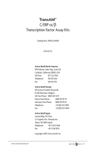 Active Motif - TransAM C/EBP Kit manual