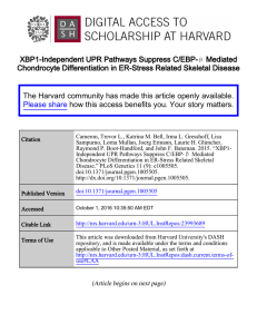 XBP1-Independent UPR Pathways Suppress C/EBP