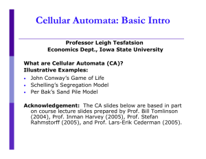 Cellular Automata - Iowa State University