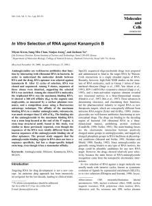 In Vitro Selection of RNA against Kanamycin B Molecules and Cells