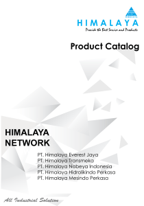 HIMALAYA NETWORK - Himalaya Everest Jaya
