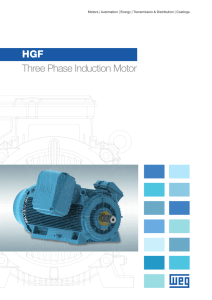 HGF Three Phase Induction Motor