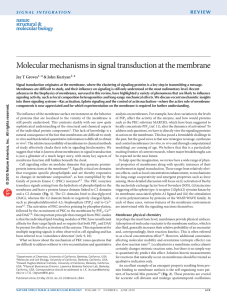 Molecular mechanisms in signal transduction at the membrane