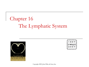 Chapter 16 The Lymphatic System
