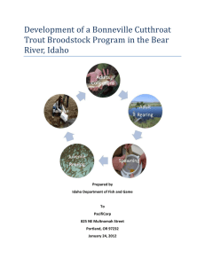 Development of a Bonneville Cutthroat Trout