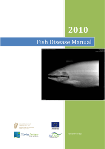 Fish Disease Manual - Vet Aqua International