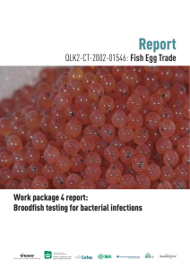 Work package 4 report: Broodfish testing for bacterial
