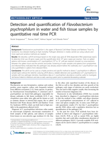 Detection and quantification of Flavobacterium psychrophilum in
