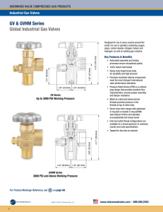 GV and GVHM global industrial gas valve spec and ordering