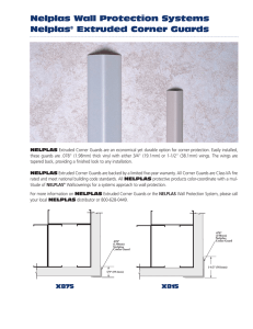 Nelplas Wall Protection Systems Nelplas® Extruded