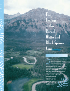 The Ecology of the Boreal White and Black Spruce Zone