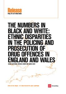 thE NumBErs iN BLaCk aNd whitE: EthNiC disparitiEs iN