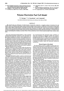 Polymer Electrolyte Fuel Cell Model