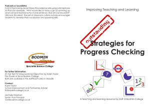 Strategies for Progress Checking