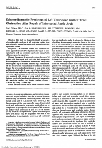 Echocardiographic predictors of left ventricular outflow tract