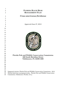 Bear Management Plan - myFWC - Florida Fish and Wildlife