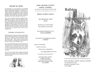 Rabies Informational Brochure