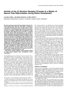 Journal of Neuroscience (1995), 15, 5919