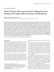 Block of Inferior Olive Gap Junctional Coupling Decreases Purkinje