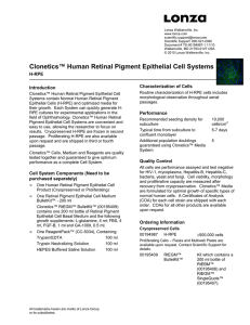 Clonetics™ Human Retinal Pigment Epithelial Cell Systems