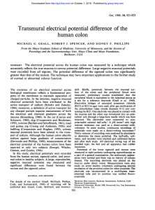 Transmural electrical potential difference of the human colon