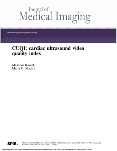 CUQI: cardiac ultrasound video quality index
