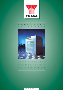 Yuasa Endurance Manual