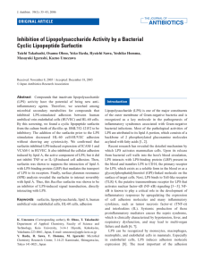 Inhibition of Lipopolysaccharide Activity by a Bacterial
