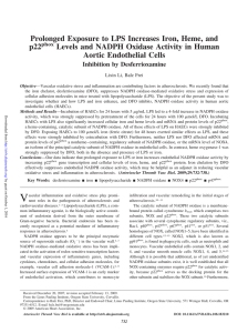 Prolonged Exposure to LPS Increases Iron, Heme, and p22 Levels