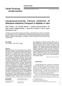 Lipopolysaccharide Induces Inhibition of Galactose