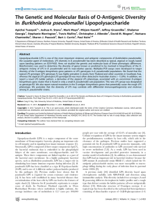 in Burkholderia pseudomallei Lipopolysaccharide