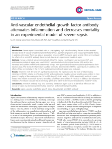 Anti-vascular endothelial growth factor antibody attenuates