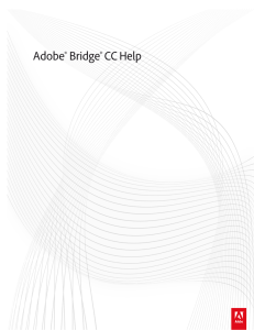 Adobe Bridge - Adobe Support