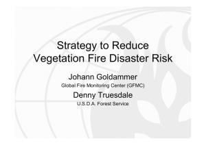 Strategy to Reduce Vegetation Fire Disaster Risk