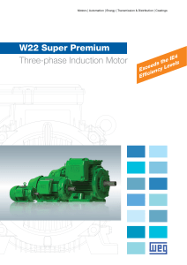 ERIKS - WEG W22 Super Premium
