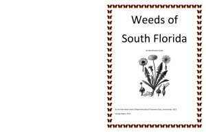 Weeds of South Florida - Palm Beach State College