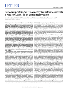 Genomic profiling of DNA methyltransferases reveals a role for
