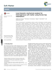 Local dynamic mechanical analysis for