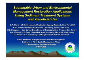 Sustainable Urban and Environmental Management
